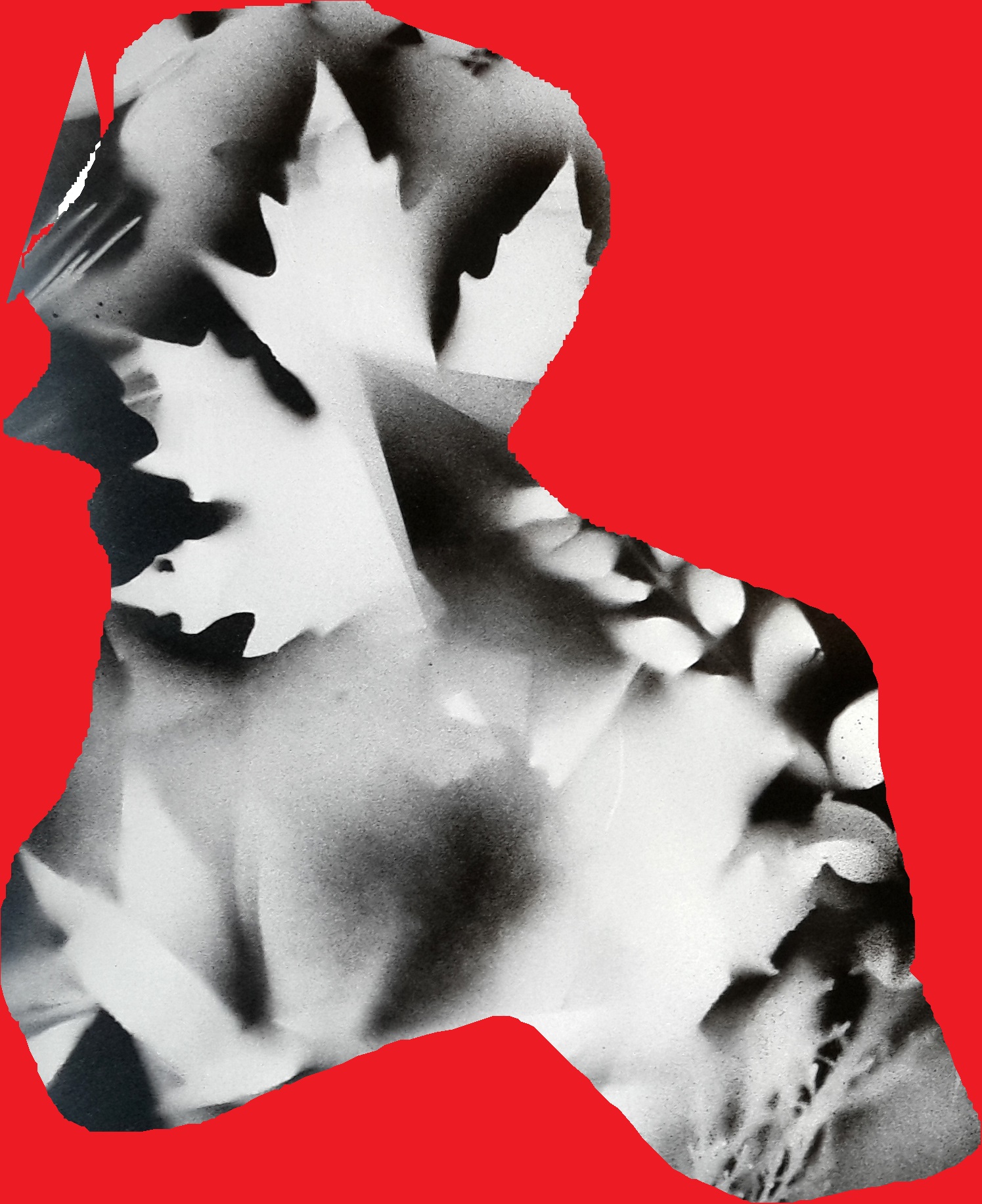 Kağıt Üzerine Sprey Boya, Dijital Çalışma 'Bir' 70x100 cm 2014